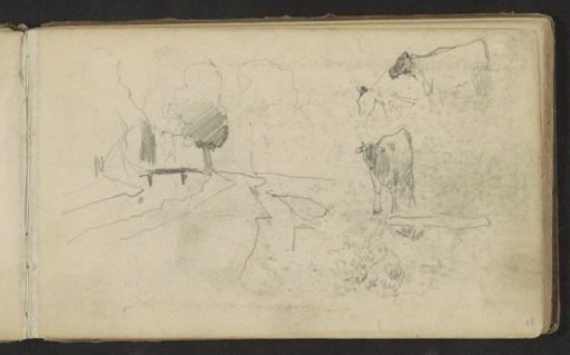 Path along a canal and cows