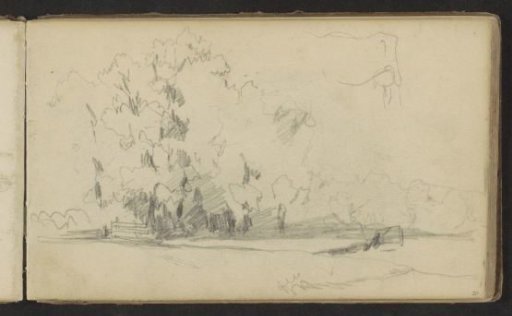 Landscape with trees and a fence