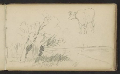 Trees along a canal and a cow