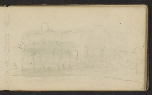 Row of trees near a rural dwelling