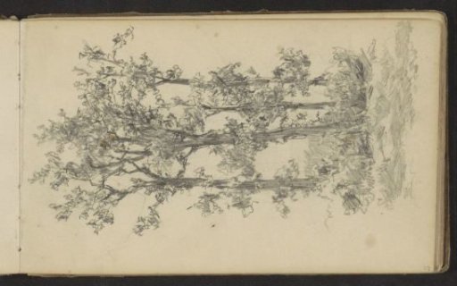 Four trees in a row