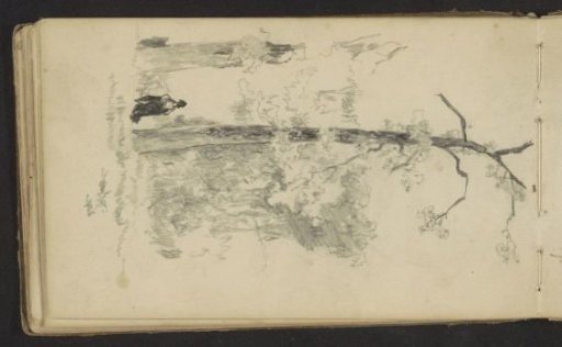 Figure at the edge of a forest