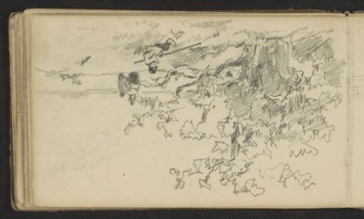 Walkers and a resting boy by a tree