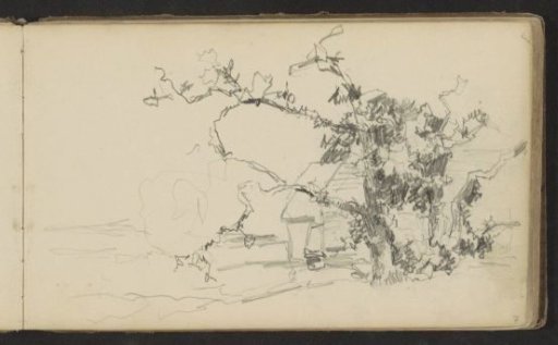 Group of trees next to a farmhouse