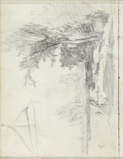 Trees by the water