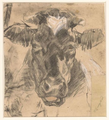 Head of a cow