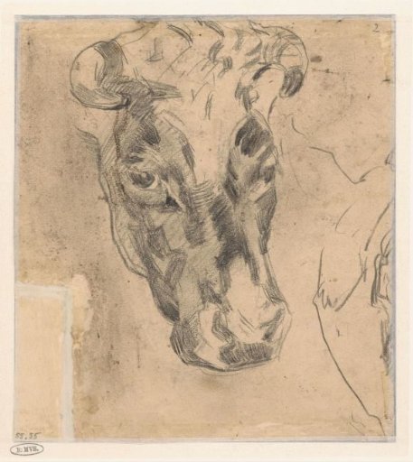Head of a cow with horns