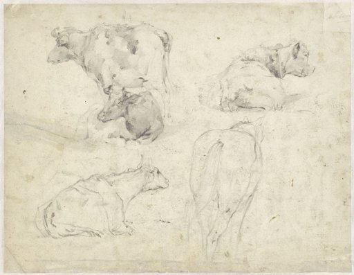 Studies of cows and a horse