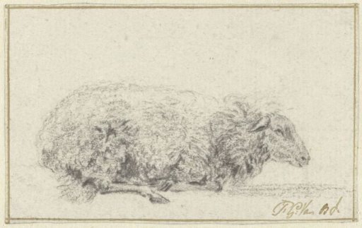 Reclining Sheep, from the Side, Facing Right