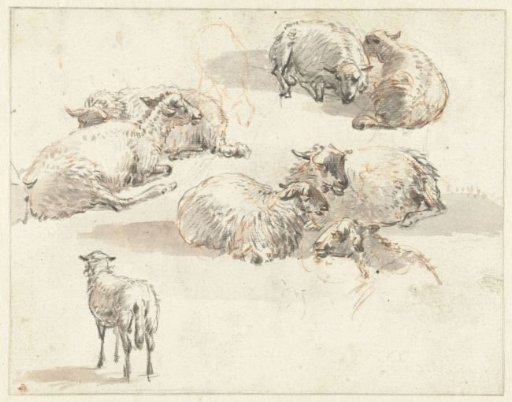 Sketch Sheet with Groups of Sheep