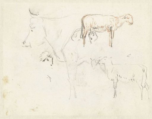 Sketches of a Cow and Sheep