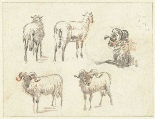 Sketch Sheet with Two Goats and Three Rams