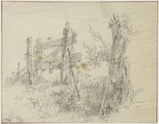 Sketch sheet with pollarded willow by a fence