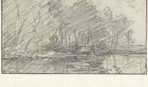 Trees along a canal