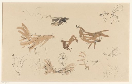 Study sheet with roosters and parts of roosters