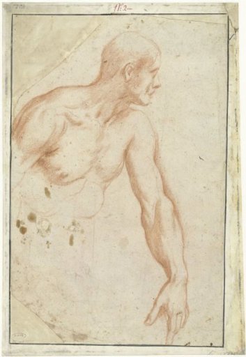 Nude Study of a Man Turning to the Right