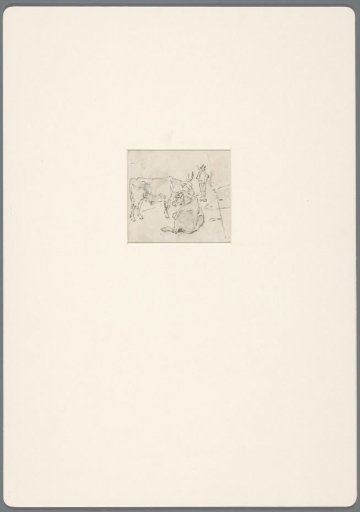 Two cattle with a shepherd boy