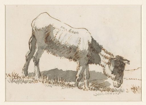 Grazing donkey, from the right