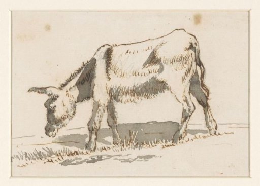Grazing donkey, from the left