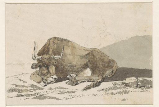 Lying ox