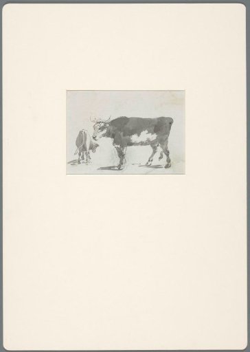 Two cows in a landscape