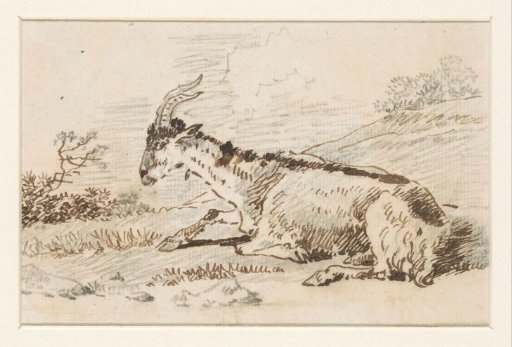 Lying goat in a landscape