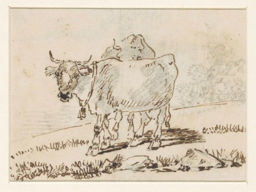 Two cows, the foremost wearing a bell