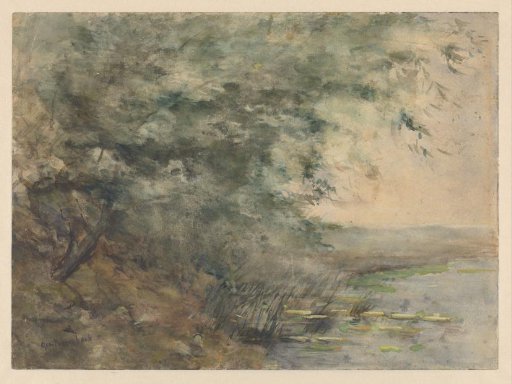 Willows on the bank of a pool
