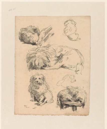 Studies of a Puppy