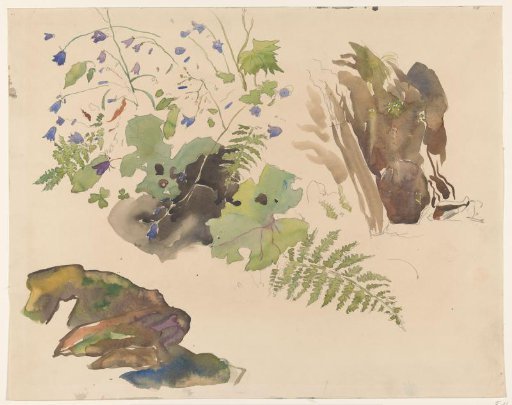 Flowers and plants