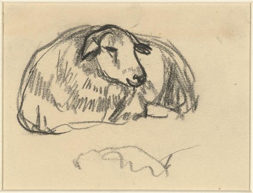 Recumbent Sheep