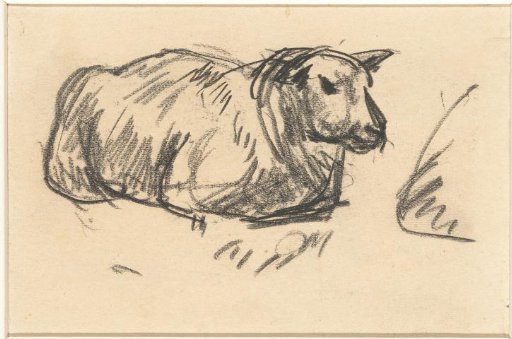 Recumbent Sheep