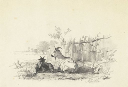 Two Young Goats by a Fence