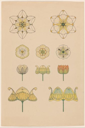 Stylised floral ornaments