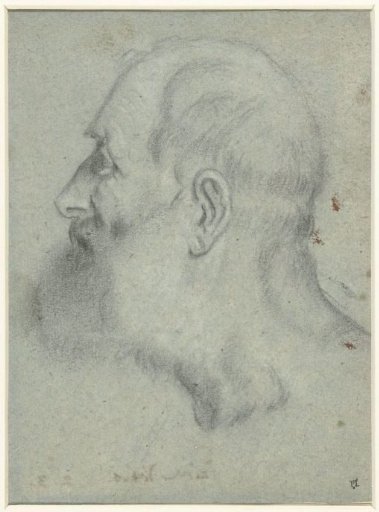 Head of a man with beard, in profile to the left