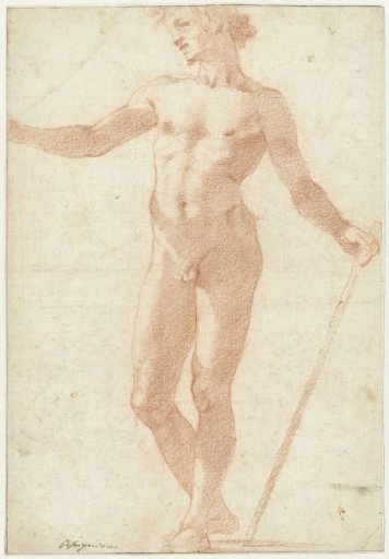 Standing male nude model