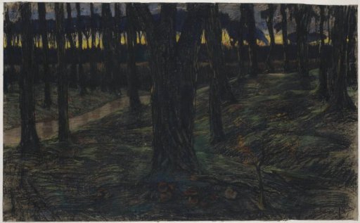 Forest View at Sunset