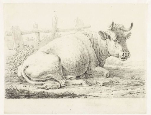 Seated cow