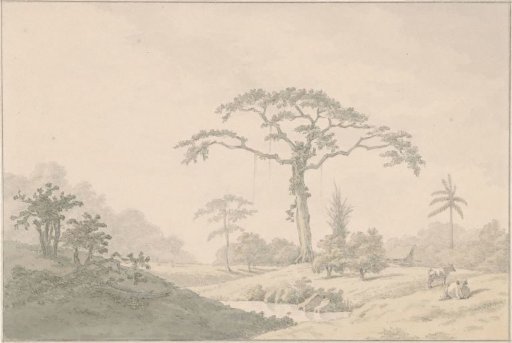 View of a farm in Suriname