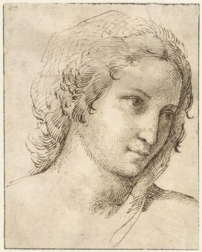 Head of a young woman with a veil