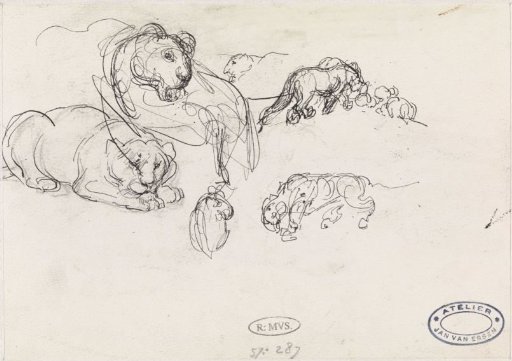 Sketches of lions