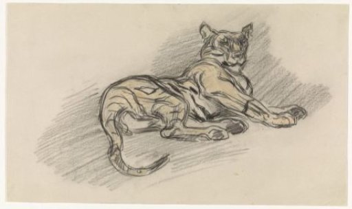 Lying tiger, facing right