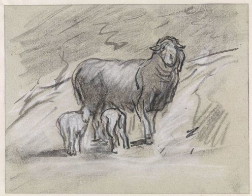 Sheep with two lambs