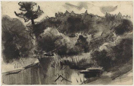 Forest pond