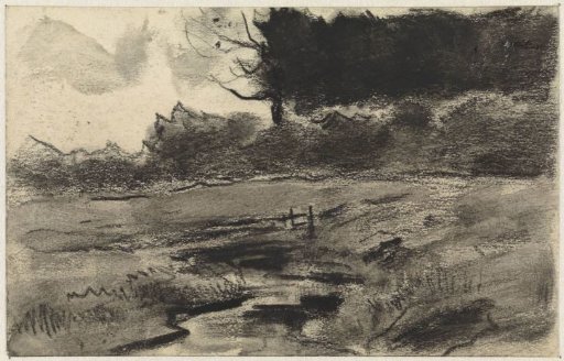 Landscape with forest edge and water