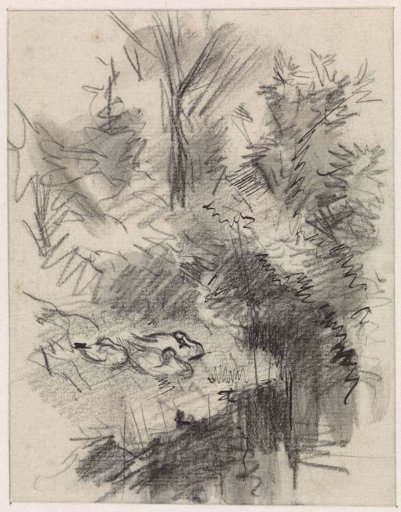 Ducks, sleeping among bushes on the water's edge