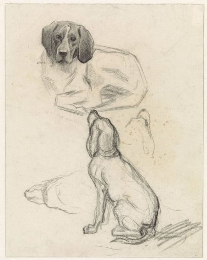 Sheet of Studies of Dogs