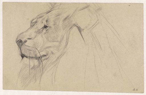 Head of a lion