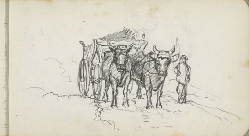Farmer beside a loaded ox-cart in the field