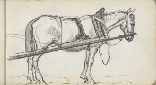 Draft horse